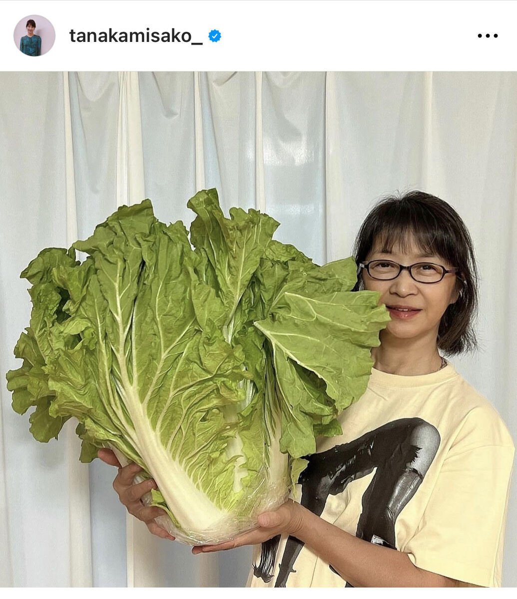 田中美佐子、迫力満点！顔より何倍も大きな野菜を持ち「白菜祭り、、始まる予感」お手製鍋も披露！(スポーツ報知)