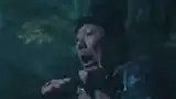 伊東祐親の家人