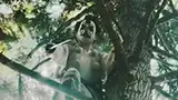 武田信玄の忍び