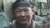 徳川家康の家臣